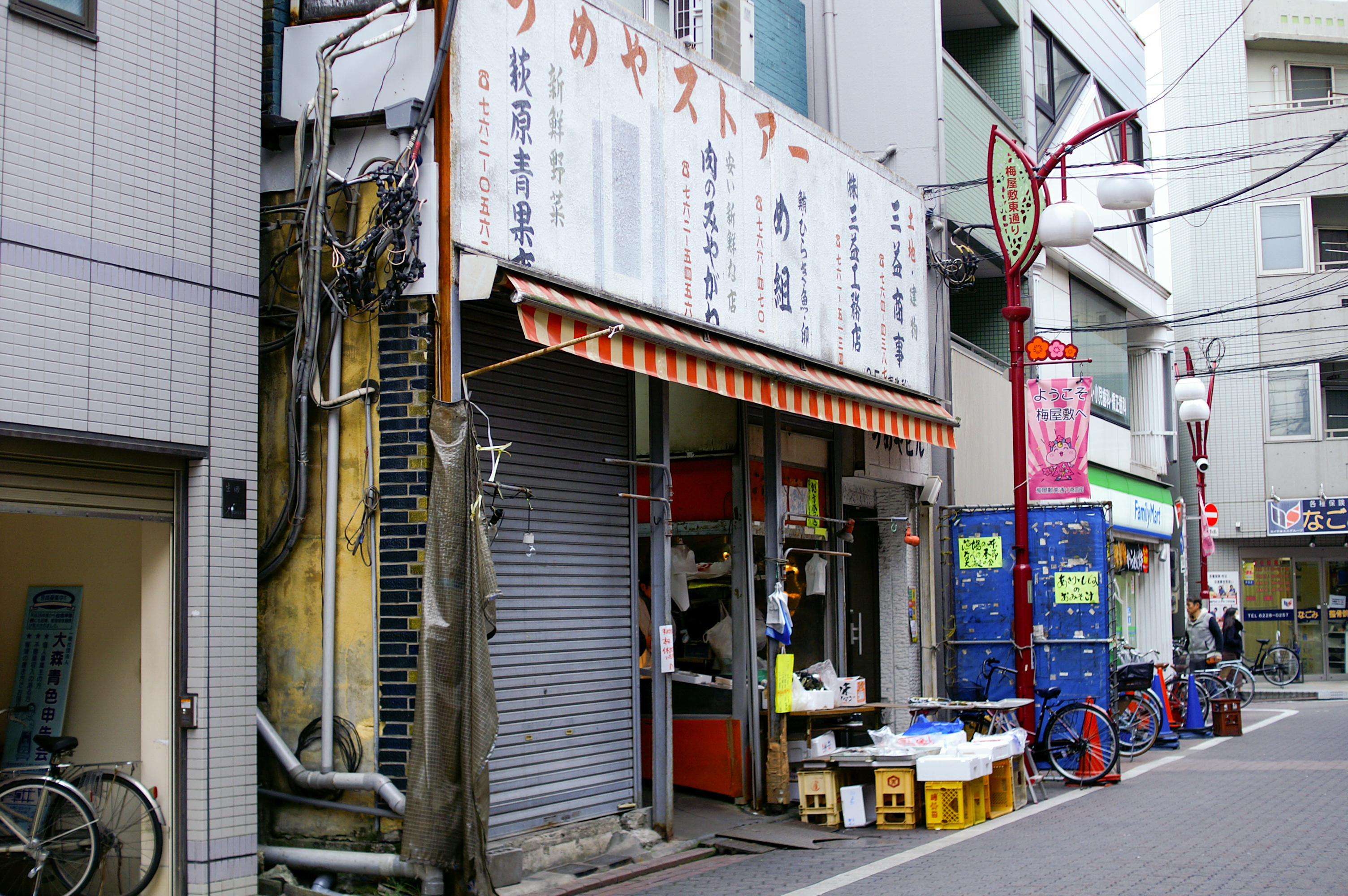 鮮魚め組